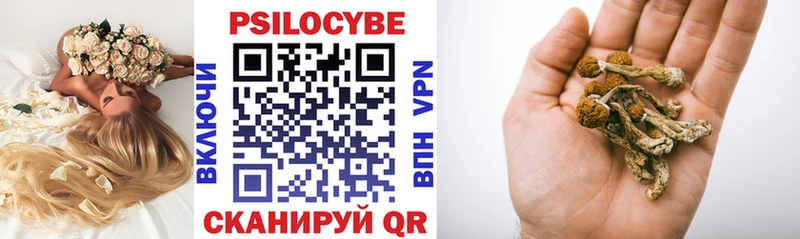 MEGA tor  Болхов  Псилоцибиновые грибы мухоморы 